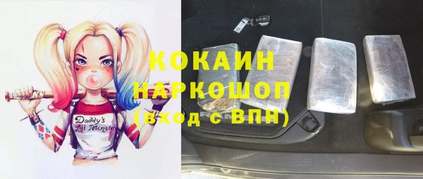 шишки Арсеньев