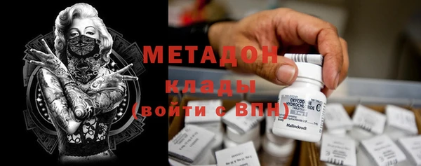 шишки Арсеньев