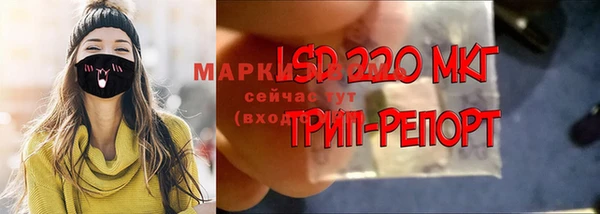 гидропоника Аркадак