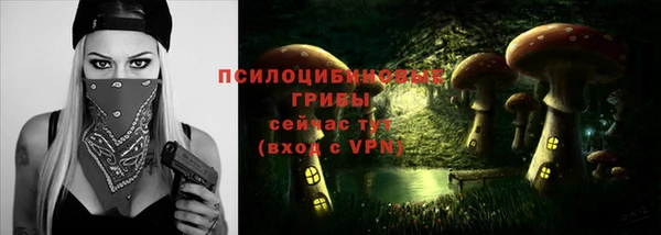 гидропоника Аркадак