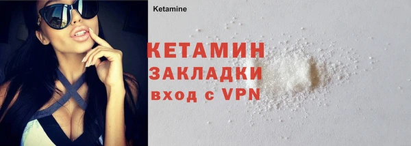шишки Арсеньев
