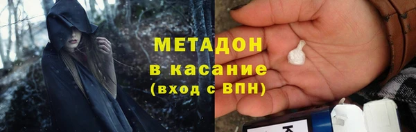 шишки Арсеньев