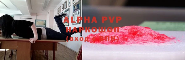 шишки Арсеньев