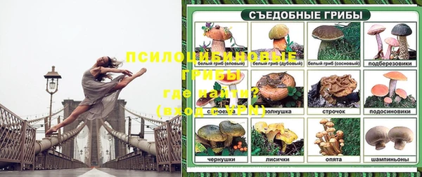 гидропоника Аркадак