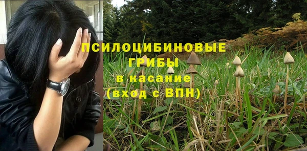 гидропоника Аркадак