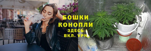 шишки Арсеньев