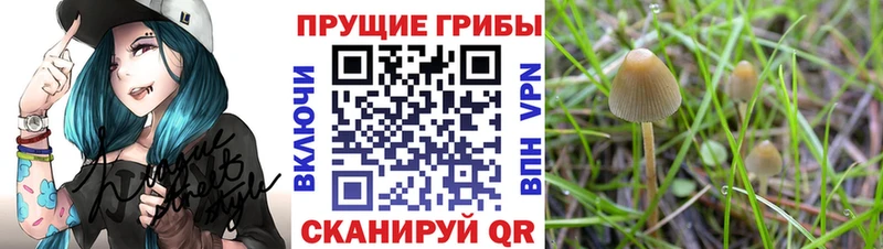 мега ССЫЛКА  Ухта  Псилоцибиновые грибы прущие грибы 